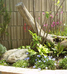 樹木の伐採/庭の解体